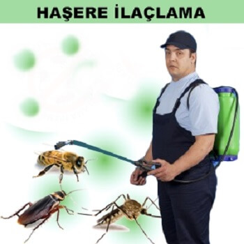 Laçin Böcek İlaçlama